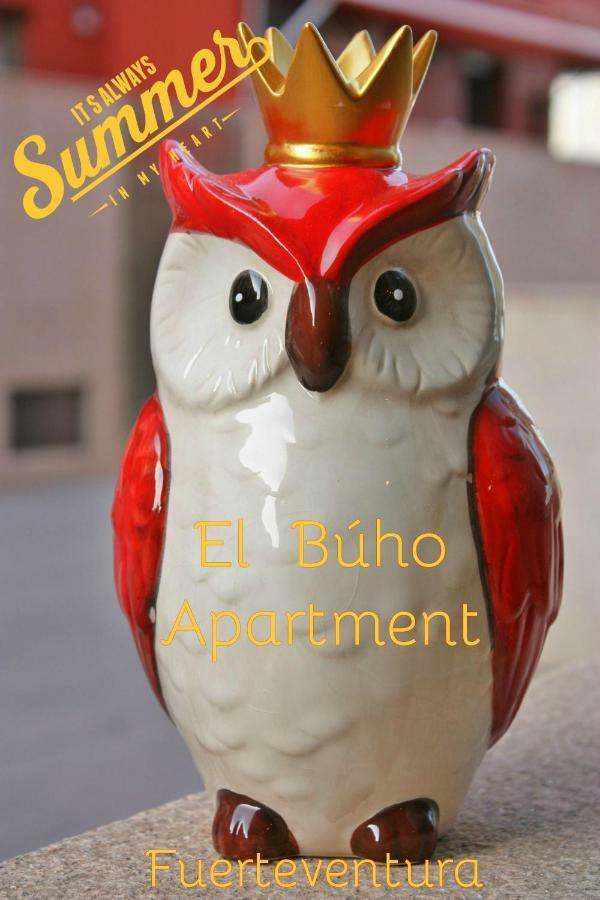 El Buho Apartment Wi-Fi Puerto del Rosario  Eksteriør bilde